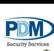 PDM Security Services Logo